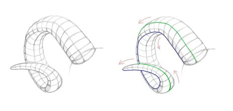 How To Draw Goat Horns, Horn Tutorial Drawing, Rams Horns Drawing, Curled Horns Drawing, How To Draw Ram Horns, Sheep Horns Drawing, Goat Horns Drawing Reference, Ram Horns Drawing Reference, How To Draw Horns