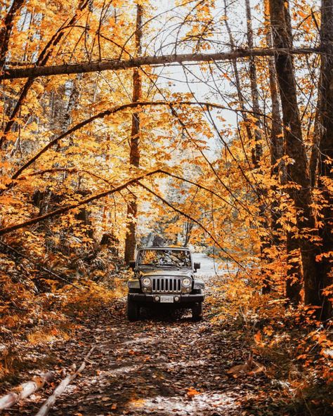 The Preppy Fox Aesthetic Car Ride, Rivers And Roads, Travel Vibes, Fall Mood Board, Aesthetic Car, Autumn Drives, Fall Inspo, Fall Feels, Fall Travel