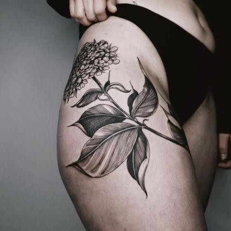 Hydrangea Tattoo Thigh, Hydrangea Shoulder Tattoo, Hydrangea Tattoo Sleeve, Dark Purple Hydrangea, Hydrangea Tattoo, Gladiolus Tattoo, Beautiful Flower Tattoos, Hydrangea Colors, Flower Outline