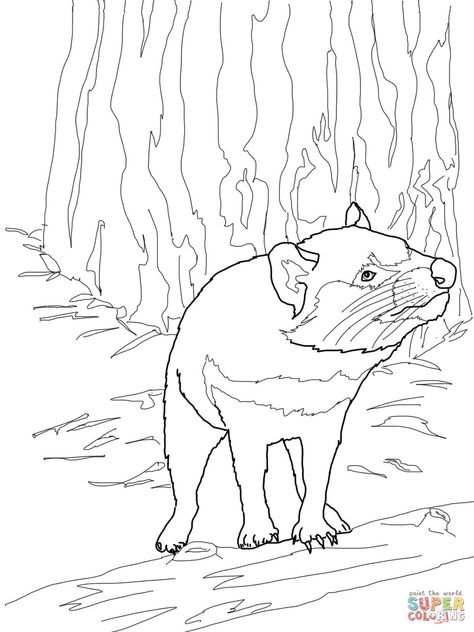 Tasmanian Devil Drawing, Free Coloring Sheets For Kids, Devil Drawing, Tasmanian Devil Cartoon, Free Coloring Pictures, Tasmanian Devil Looney Tunes, Australia Animals, Tree Coloring Page, Free Coloring Sheets