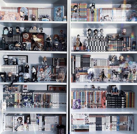 Shelf Collection Display, Manga Shelf Inspiration, Manga Shelves Aesthetic, Manga Shelf Aesthetic, Manga Shelf Ideas, Magical Bookstore, Manga Shelving, Manga Library, Manga Shelves