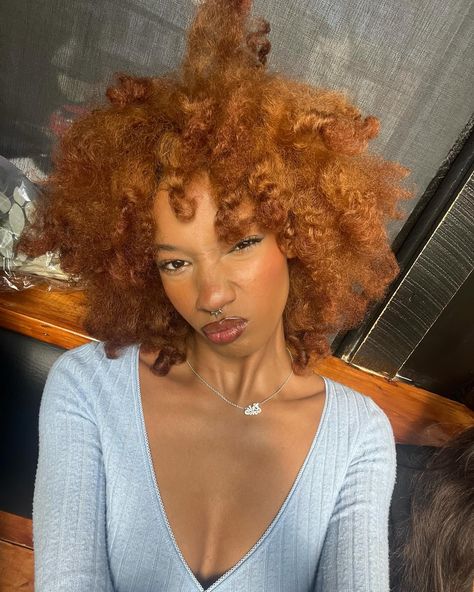 Ginger Afro Black Women, Dyed 4c Hair, Hair Canvas, Ginger Hair Color, Curly Hair Types, Dyed Natural Hair, 4c Natural Hair, Beautiful Hair Color, Beautiful Curly Hair