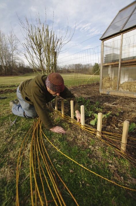 Garden Borders, Wattle Fence, Privacy Screens | Living Willow Farm — LIVING WILLOW FARM Willow Edging Garden Beds, Willow Border Edging, Wattle Garden Beds, Diy Stick Fence Garden, Willow Wattle Fence, Wattle Fence Garden, Woven Garden Beds, Willow Garden Edging, Willow Raised Beds