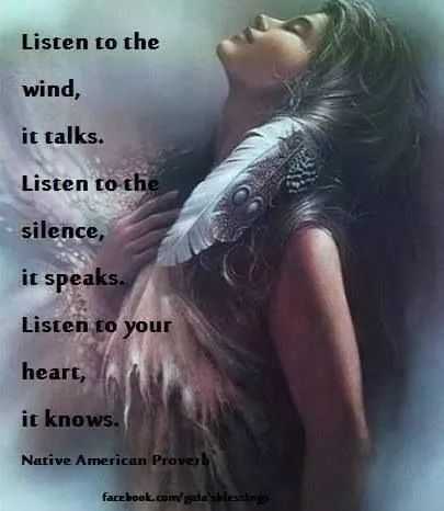 Listen To The Silence, Native Quotes, American Indian Quotes, American Proverbs, Native American Totem, Native American Proverb, Native American Spirituality, Indian Quotes, Native American Wisdom