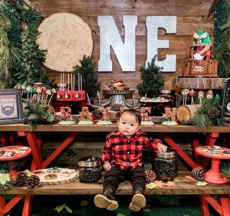 Lumberjack Party Ideas, First Birthday Activities, Lumberjack First Birthday, First Birthday Party Ideas, Lumberjack Birthday, Lumberjack Party, Twin First Birthday, Birthday Themes For Boys, Birthday Activities