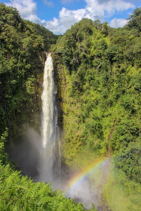 Akaka Falls State Park is named after Hawaii's most famous waterfall, Akaka Falls. This park is a lush rainforest with waterfalls and beautiful orchids, bamboo groves and ferns. #hawaii #hawaiitravel #waterfall #waterfalls #akakafallsstatepark #bigisland #hilo #bigislandhawaii #bucketlist #nature #paradise #travelinspiration #travel #travelblog Honolulu Hawaii Waterfalls, Hawaii Nature Photography, Hawaii Nature Aesthetic, Hawaii Waterfall Aesthetic, Akaka Falls Hawaii, Hawaiian Waterfalls, Hawaii Rainforest, Waterfalls Aesthetic, Waterfall Hawaii