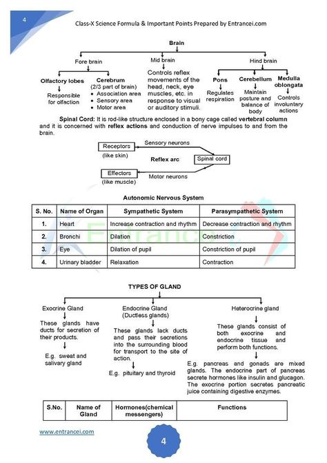 Class10 Notes, Science Basics, Science Formulas, Bsc Nursing, Bio Notes, Learn Biology, Biology Revision, Chemistry Basics, Physics Concepts