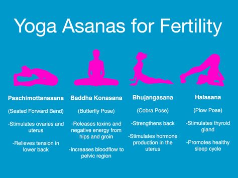 1. Warm Uterus and Blood Flow In Chinese philosophy it is thought that a ‘cold uterus’ is a big factor for infertility. Therefore when trying to conceive they advise to increase the flo… Yoga For Uterus Health, Fertility Yoga Trying To Conceive, Embryo Development, Fertility Yoga, Fertility Foods, Chinese Philosophy, Fertility Health, Fertility Diet, Fertility Boost