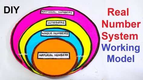 Real Number System Project Ideas, Real Number System Project, Real Numbers Activity, Maths Tlm, Maths Project, Real Number System, Math Integers, Math Models, Teaching Math Strategies