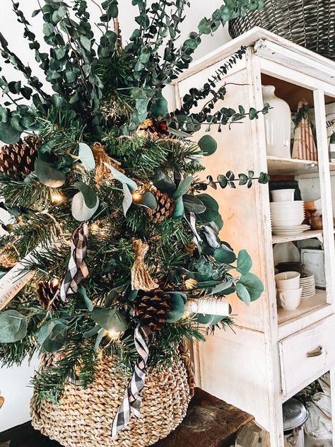 Rustic Eucalyptus Christmas Tree | Roost + Restore Australian Christmas Tree Ideas, Eucalyptus Christmas Tree, Eucalyptus Christmas Decor, Christmas Greenery Decor, Australian Christmas Tree, Eucalyptus Christmas, Tree Fillers, Green Christmas Tree Decorations, Silver Christmas Decorations