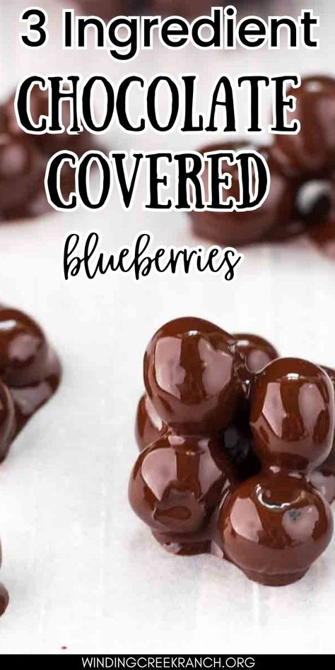 Dark Chocolate And Fruit Healthy Snacks, Dark Chocolate Blueberries, Chocolate Blueberry Clusters, Blueberry Truffles Recipe, Dark Chocolate Covered Blueberries, Healthy Chocolate Covered Fruit, Chocolate Covered Blueberries Homemade, Chocolate Covered Berries, Chocolate Blueberry Bark