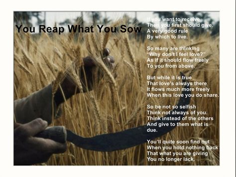 You Reap What You Sow Quotes | You Reap What You Sow! Quotes Pinterest, Reap What You Sow, Hodge Podge, Garden Quotes, Love Always, Feeling Loved, That's Love, So True, Funny Stuff