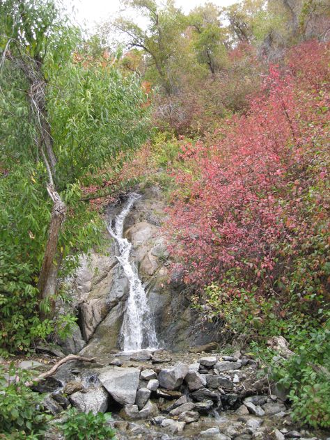 Ghost Falls Hike in Draper's Corner Canyon Utah Hiking, Draper Utah, Falling Waters, Visit Utah, Lake George Ny, Utah Hikes, Cedar City, Utah Travel, Waterfall Hikes