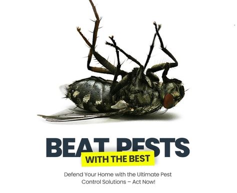 Struggling with pests at home or work?   Pest Experts And Fumigators offers reliable, eco-friendly solutions for a safe, pest-free environment. Contact us to schedule your service today!   📞+263 777 129 224 #pestcontrol #pestmanagement #homeprotection #exterminator #harare Graphic Design Flyer, Pest Management, Pest Control Services, Home Protection, Facility Management, Most High, Pest Control, Social Media Template, Art Tutorials