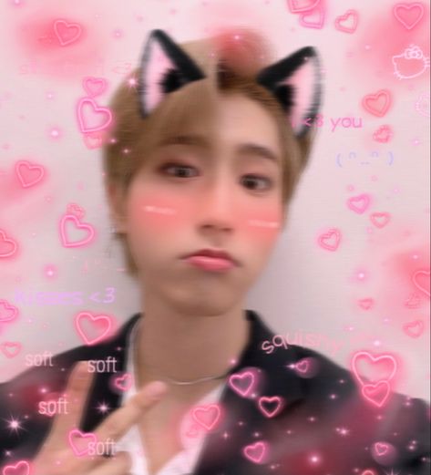 Tole Tole, Icon Cat, Cat Info, Memes Kpop, Han Jisung, Cat Wallpaper, All About Cats, Cat Ears, Cute Puppies