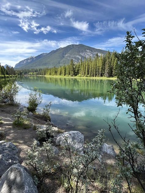 Canadian Landscapes | Bow River, Banff Alberta  | Facebook Canadian Landscape, Banff Alberta, Life Ideas, June 2024, Heartland, Travel Bucket, Travel Bucket List, Travel Destinations, Beautiful Places