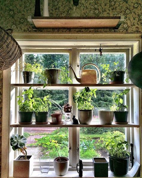 Cozy Cottagecore Kitchen Ideas: Embrace Rustic Charm and Comfort - The Cottage Market Garden Window Ideas, Kitchen Window Herb Garden, Herb Window, Kitchen Garden Window, Window Herb Garden, Growing Herbs Indoors, Plant Window, Plant Kitchen, Herb Garden In Kitchen