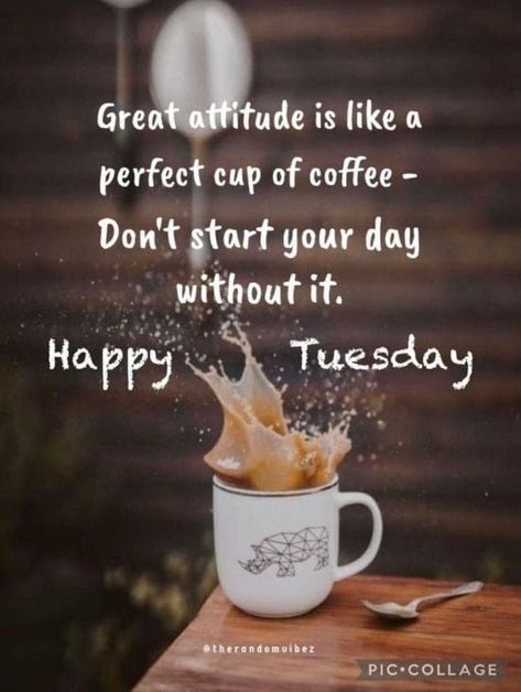 Coffee Tuesday Quotes, Tuesday Coffee Good Morning, Coffee Tuesday, Tuesday Coffee, Coffee Pics, Week Quotes, Good Morning Tuesday, Good Morning Coffee Images, Morning Coffee Images