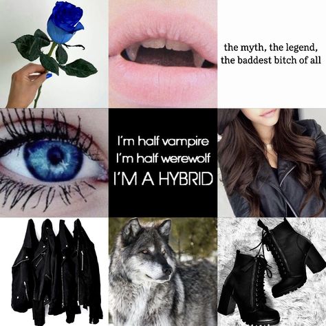 Hybrid Vampire Werewolf, Vampire Werewolf Hybrid, Werewolf Hybrid, Vampire And Werewolf, Hybrid Aesthetic, Werewolf Vampire, Kind Aesthetic, Vampire Werewolf, Werewolf Aesthetic