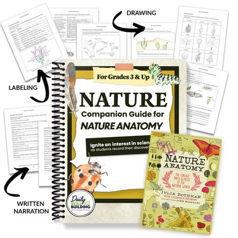 Nature Notebook - A Companion to Nature Anatomy - Daily Skill Building Nature School, Living Books, Science Curriculum, Student Studying, Nature Study, Elementary Science, Digital Resources, Science Experiments Kids, Study Unit