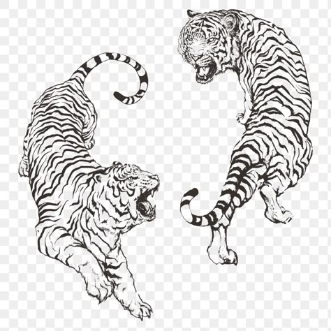 Hand drawn roaring yin yang tigers overlay | free image by rawpixel.com Tiger Outline, White Tiger Tattoo, Angry Tiger, Tiger Vector, Leopard Tattoos, Tiger Tattoo Design, Tiger Drawing, Vintage Tiger, Tiger Illustration