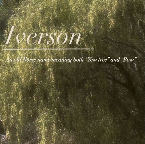 The name Iverson 🎍🌾 #aesthetic #aestheticnames #cute #willowtree #iverson #name Old Norse Names And Meanings, Iverson Aesthetic, Old Norse Names, Norse Names, Names And Meanings, Fantasy Character Names, Aesthetic Names, Old Norse, Willow Tree