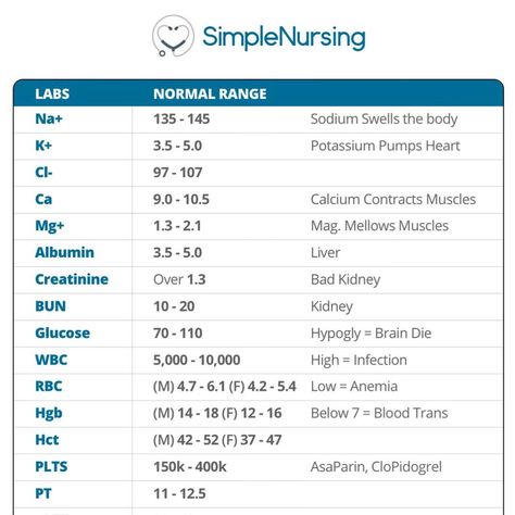 Lpn School, Simple Nursing, Nclex Pn, Lpn Schools, Nursing School Essential, Lab Values, Nursing School Survival, Med Surg, Nursing School Tips