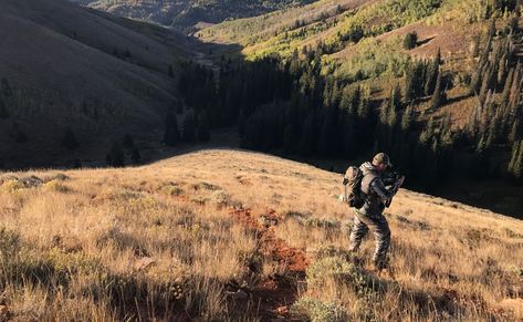 8 Tips for Rifle Hunting Elk for the First Time | Mossy Oak Elk Hunting Tips, Cow Elk, Elk Hunting Gear, Coyote Hunting, Types Of Hunting, Deer Hunting Blinds, Pheasant Hunting, Wild Country, Bowfishing