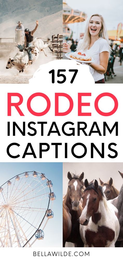 Western Selfie Captions, Rodeo Quotes Funny, Short Cowgirl Quotes, Cow Instagram Captions, Cowgirl Insta Captions, Rodeo Quotes Instagram, Stagecoach Captions, Cow Captions For Instagram, Western Ig Captions