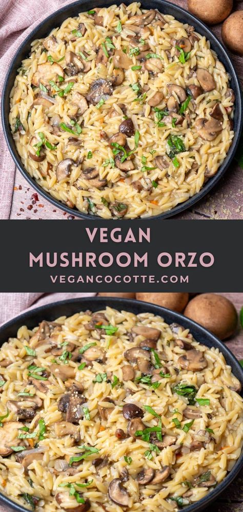 Vegan Mushroom Orzo Healthy Vegetarian Recipes Dinner Easy, Vegan Mushroom Orzo Recipes, Vegan Mushroom Orzo, Vegan Light Dinner, Orzo Vegan Recipes, Orzo Recipes Vegetarian, Fast Vegan Meals, Light Vegan Dinner, Vegan Orzo Recipes