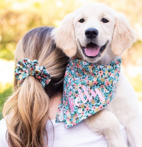 Pet Accessories Ideas, Cute Dog Accessories, Girl Dog Accessories, Dog Collar Accessories, Dog Harness Pattern, Socializing Dogs, Cute Dog Collars, Dog Collar Bow Tie, Pet Blog