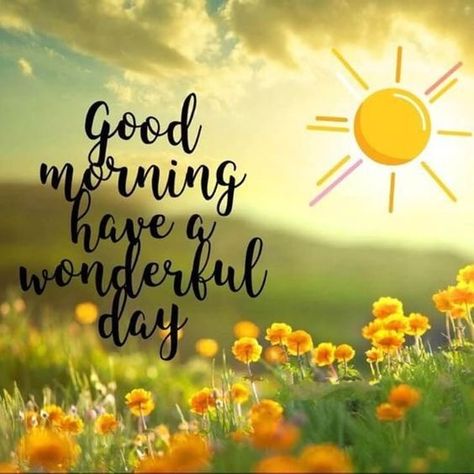 Mensagens! Wishing You A Wonderful Day, Great Morning Quotes, Good Night Cute Images, Good Morning Quotes Inspirational, Bisous Gif, Positive Morning Quotes, It's A New Day, Feel Deeply, Good Morning Today