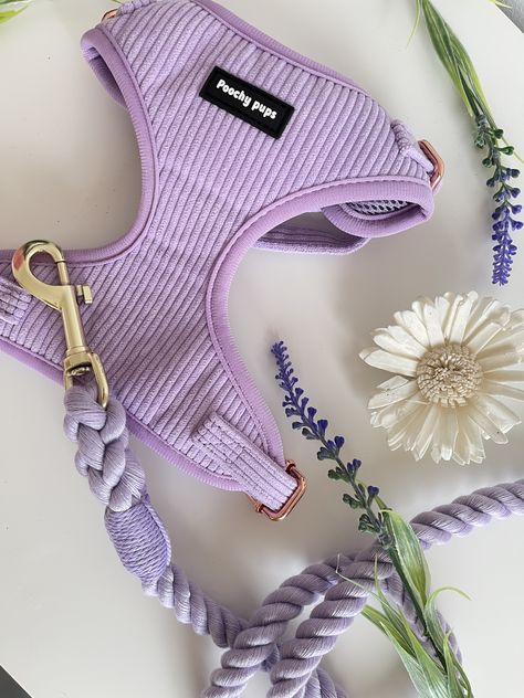 Cute Puppy Harness, Pretty Dog Harness, Puppy Harness And Leash, Harnesses For Dogs, Purple Dog Harness, Cute Harness For Dogs, Cute Dog Products, Aesthetic Dog Harness, Cute Dog Ideas