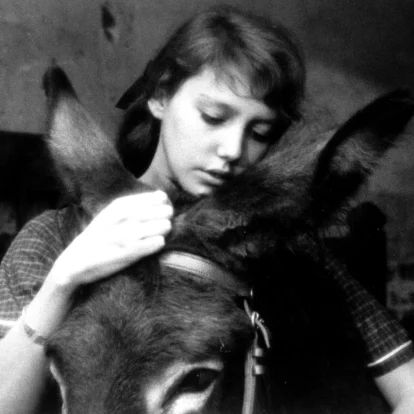 Anne Wiazemsky, The Scorpio Races, Wolf Among Us, Kiss Outfits, Venus In Furs, Only Lovers Left Alive, Cocteau Twins, Baz Luhrmann, French New Wave