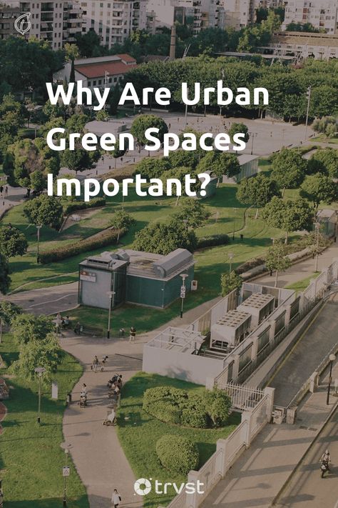 Urban green spaces: more than just places of beauty, they're lifelines in our bustling cities. 🌳🏙️ Join us in exploring why they are vital for sustainable development and protection of our environment. Together, let's champion greenery in our urban landscapes! #UrbanGreenSpaces #Sustainability #GreenLiving #EcoFriendlyCities #SaveOurSpaces 🌍 Green Spaces In Cities, Urban Ecology, Urban Heat Island, Environmental Research, Equality And Diversity, Root Structure, Benefits Of Gardening, Sustainable City, Urban Landscapes