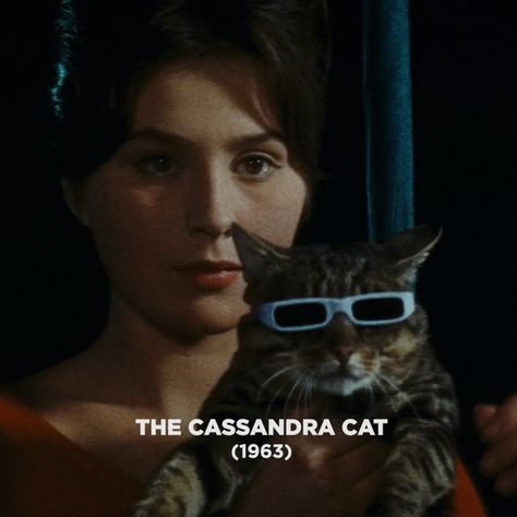 When The Cat Comes 1963, Czech New Wave, Criterion Collection, Magic Cat, True Nature, New Wave, The Magicians, Fairy Tale, Fairy Tales