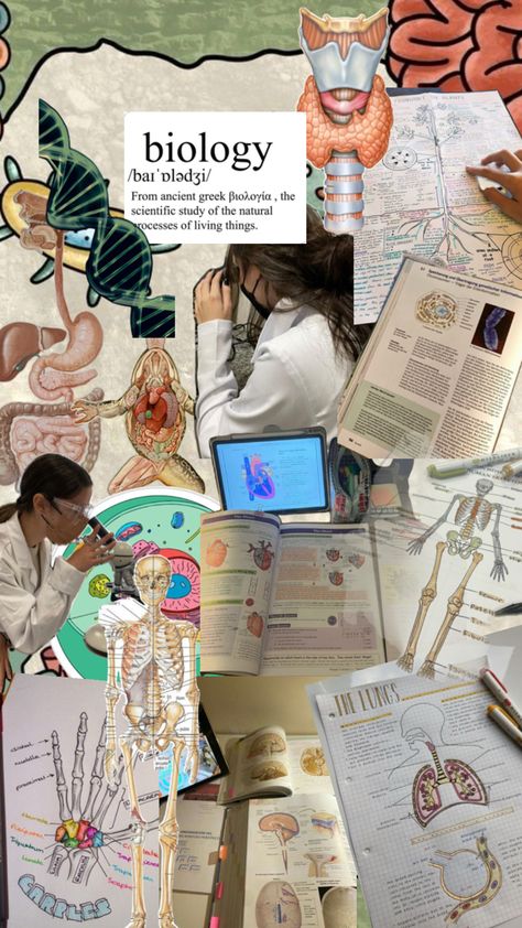 Biology Biology Collage, Biology Aesthetic, Aesthetic Collage, Ancient Greek, Biology, Collage