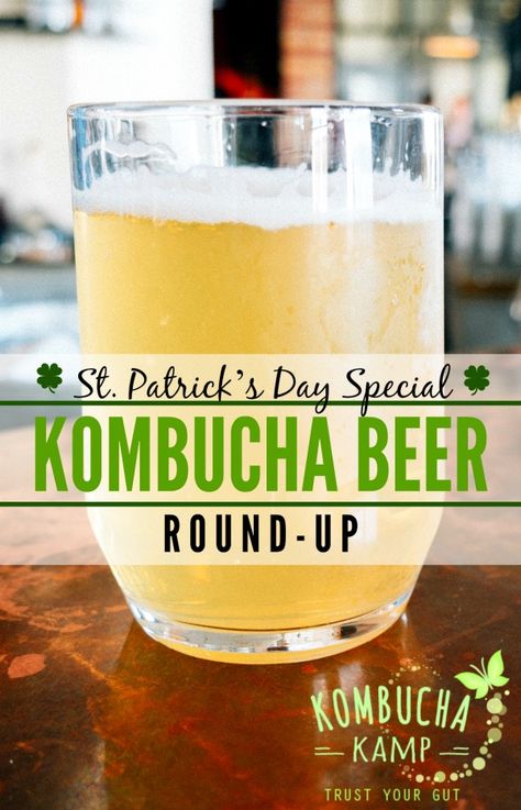 St. Patrick's Day Special - Kombucha Beer Round-up! - KombuchaKamp.com Kombucha Brands, Homemade Kombucha, Kombucha Recipe, Kombucha Tea, Chocolate Dipped Fruit, Kefir Recipes, Brewing Recipes, Homebrew Recipes, Fermented Drink