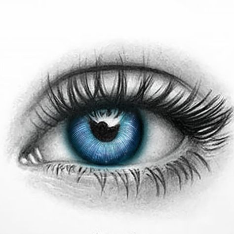 Ojo Tattoo, How To Draw Face, Realistic Eye Tattoo, Draw Face, Face Art Drawing, Pencil Drawing Images, Realistic Eye Drawing, Eyeball Art, Pencil Portrait Drawing