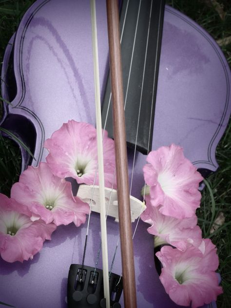 purple violin& pink flowers Purple Violin Aesthetic, Purple Violin, Pink Violin, Vintage Violin, Purple Board, Violin Design, Glitzy Glam, Music Magic, 12 Dancing Princesses