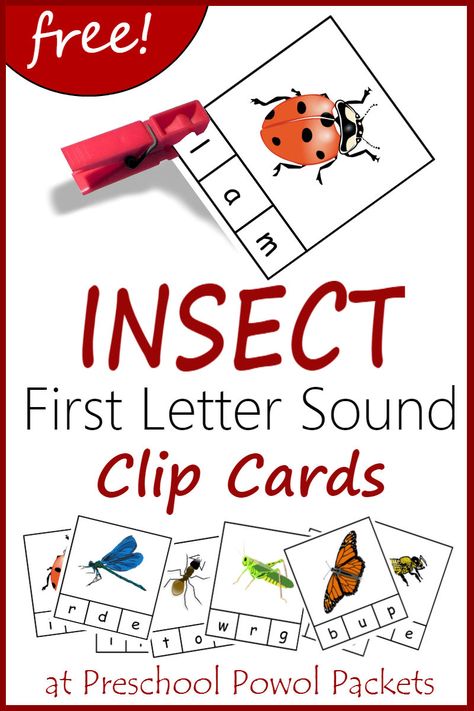 Perfect! Print and go!! Insect themed first letter sound recognition clip cards!! Free printable for preschool and kindergarten! Dragonfly Preschool Activities, Insect Preschool, Preschool Insects Activities, Bug Board, Insect Study, Grandma Camp, Printables Preschool, Letter Sound Recognition, Interesting Insects