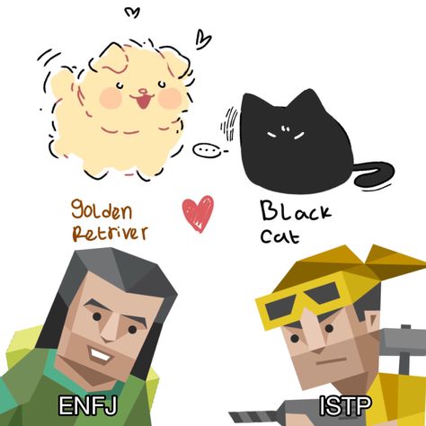 Golden Retriever Personality Type, Golden Pair Mbti, Golden Retriever Personality, Enfj Istp, Black Cat And Golden Retriever, Black Cat Golden Retriever, Black Cat X Golden Retriever, Enfj T, Istp Personality