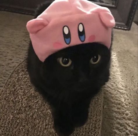 Kirby Hat, Matching Profile, Kirby, A Black, Black Cat, Lily, Twitter, Pink, Black