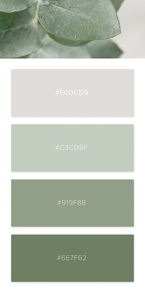 Color Palette inspired by photography #color #schemes #palette #combinations #forhome #for outfits #colors #colour #green #greens #nature #natural #pastel Light Green Color Pallete, Pretty Green Color Colour Palettes, Pastel Color Palette Green, Sage Palette Colour Schemes, Color Swatches Green, Green Aesthetic Colour Palette, Colors That Go With Light Green, Green Palette Colour, Eucalyptus Colour Palette