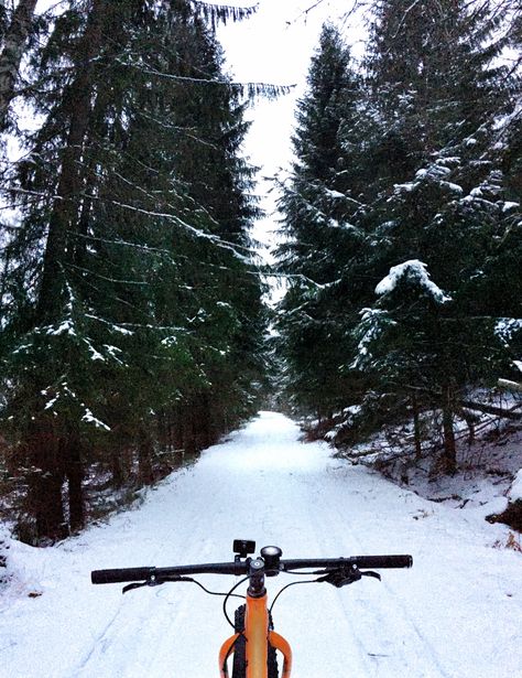 Road Bike Photography, Sweden Winter, Biking Aesthetic, Winter Biking, Creative Photoshoots, Charlie Charlie, Road Biking, Winter Nyc, Cycling Pictures