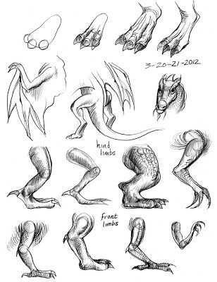 Art By-Products: March 2012                                                                                                                                                                                 More Dragon Anatomy, Some Drawings, Couple Drawing, Drawing Eyes, Dragon Sketch, Drawing Faces, Creature Drawings, Dragon Pictures, Dragon Wings