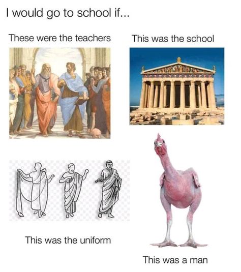 The "School of Athens" in my books 😆 Ancient Greece History Memes, The School Of Athens, Ancient Greece History, World History Facts, Philosophy Memes, School Of Athens, Historical Humor, Ancient Athens, Greek Memes