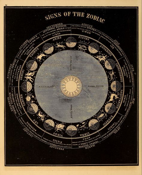 #smithsillustratedastronomy #astronomy #art #vintage #aesthetic #poster #posterart #print #planets #moon #space #universe #solarsystem Vintage Astronomy Prints, Astrology Aesthetic, Astronomy Art, Celestial Art, Vintage Poster Art, Art Collage Wall, Space And Astronomy, Picture Collage, Room Posters