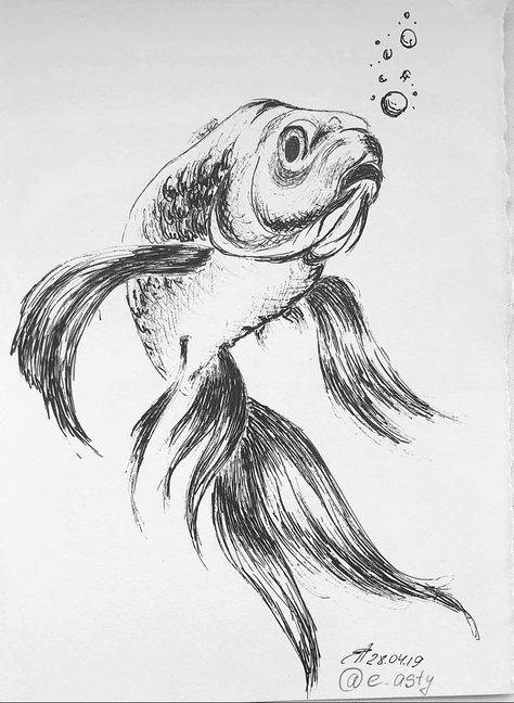 Fish Sketch, Shading Drawing, Drawn Fish, Nature Art Drawings, Výtvarné Reference, Pen Art Drawings, Fish Drawings, Animal Sketches, Ink Illustrations