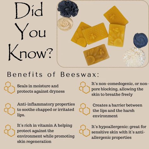 🐝 Beeswax is a natural humectant, meaning it helps lock in moisture and protect your lips from the elements. That's why we use it as the star ingredient in our lip balm! 💋 Experience the benefits for yourself---shop now on Amazon!! Click the link in our bio OR comment the word B E E S W A X, and I'll share the link where you can buy your own beeswax based lip balm today! 💛 #allnaturalskincare #allnaturalproducts #organicskincare #beeswax #skincareroutine #smallbusiness #lipcare #amazonp... All Natural Skin Care, Your Lips, Lip Care, Organic Skin Care, The Star, Lip Balm, All Natural, Skin Care Routine, Sensitive Skin